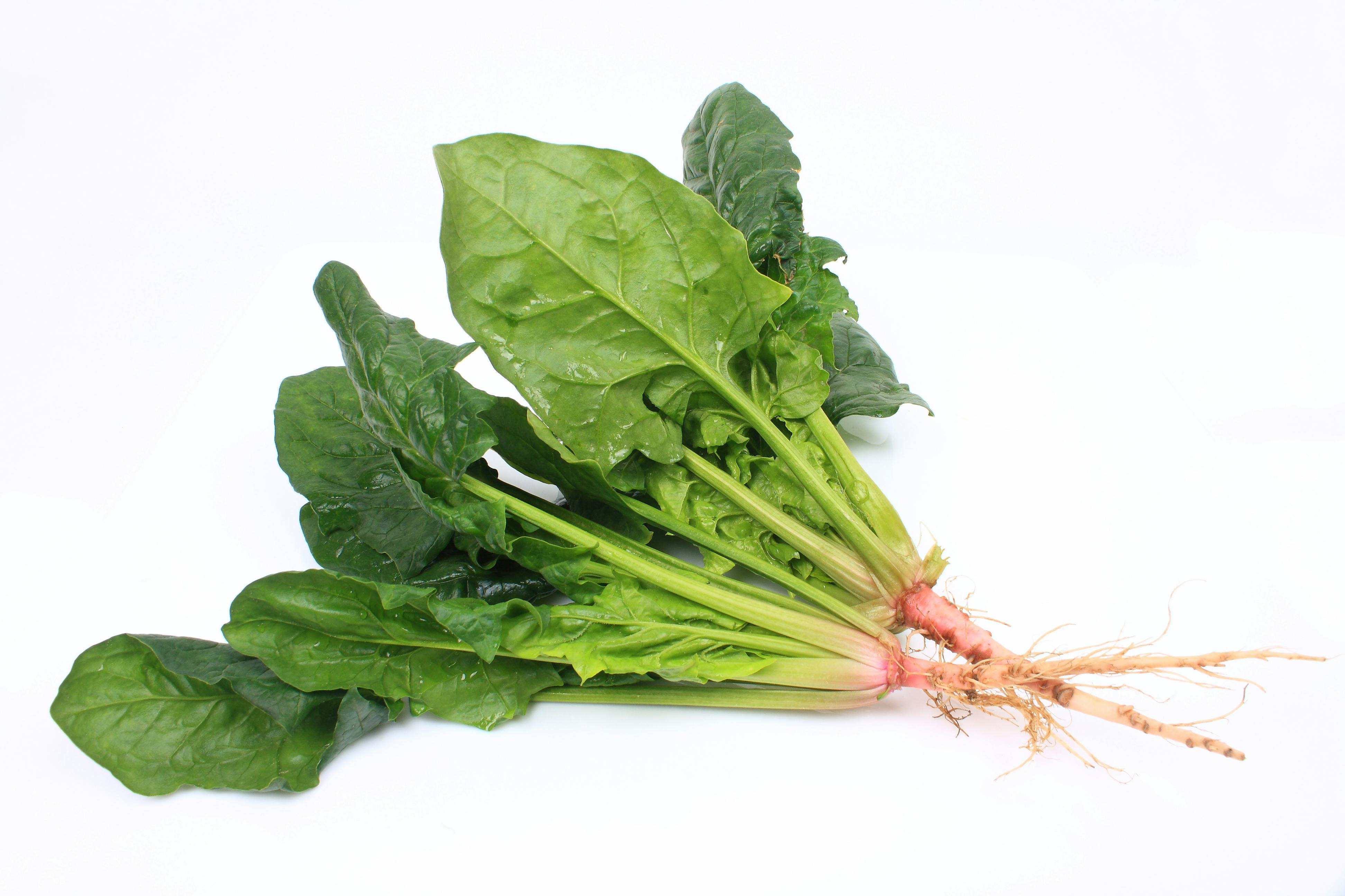 Spinatwurzel – Gemüse mit Knuspereffekt | Lifestyle by V-ZUG AG